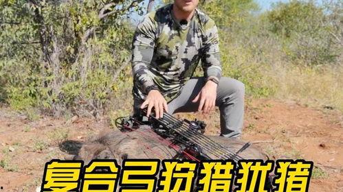 狩猎视频在线观看,在线观看惊心动魄的野生动物捕猎瞬间