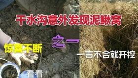 河中地笼爆料视频,揭秘水下神秘世界