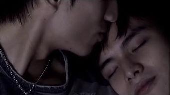 les高清在线观看