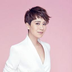 陈柏寒爆料媳妇视频大全,揭秘明星私生活片段