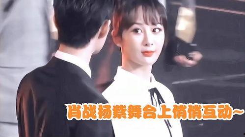 圈内爆料肖战杨紫视频,甜蜜瞬间引网友热议