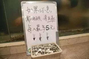 最新爆料毒硬币