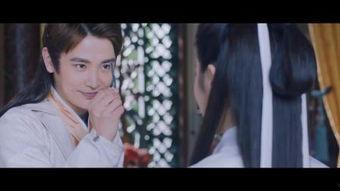 纳妾记免费在线观看,揭秘古代豪门恩怨，免费在线观看，尽享传奇人生