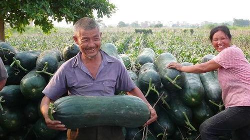 永年大瓜爆料网红视频,网红视频揭秘惊人内幕